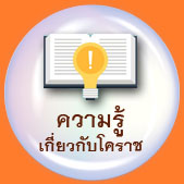 ความรู้เกี่ยวกับโคราช